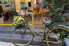 Huawei-P30-Lite-sample-picture-1x-Revu-Philippines-a