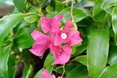 Huawei-Y6p-sample-picture-Revu-Philippines_1x2