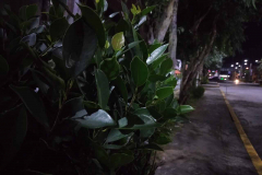 OPPO-A3s-sample-night-picture-Revu-Philippines