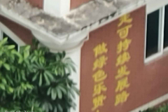 OPPO-Reno-10x-Zoom-Edition-sample-picture-60x-Weibo-Revu-Philippines