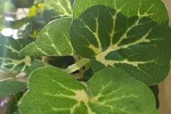 OPPO-Reno8-5G-camera-sample-picture-in-review-by-Revu-Philippines-9-10-artificial-leaves-macro