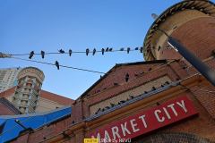 Realme-10-camera-sample-picture-taken-in-Australia-by-Revu-Philippines-market-city-auto