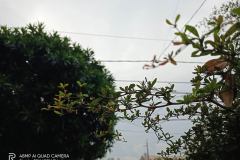 Realme-6i-camera-sample-picture-by-Revu-Philippines-d