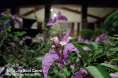 Samsung-Galaxy-A21s-camera-sample-picture-by-Revu-Philippines-g