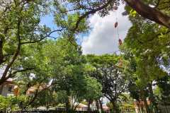 Realme-7-pro-camera-sample-picture-Revu-Philippines-a