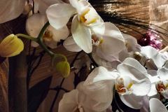 Realme-9i-camera-sample-picture-by-Revu-Philippines-flowers-inside-the-hotel