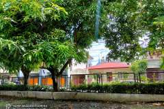 Realme-X3-SuperZoom-sample-picture-Revu-Philippines_b-1x