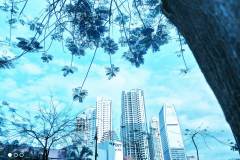 Redmi-Note-9T-5G-camera-sample-picture-in-review-by-Revu-Philippines_filter-cyberpunk