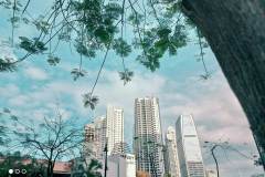 Redmi-Note-9T-5G-camera-sample-picture-in-review-by-Revu-Philippines_filter-lime