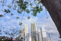 Redmi-Note-9T-5G-camera-sample-picture-in-review-by-Revu-Philippines_filter-none