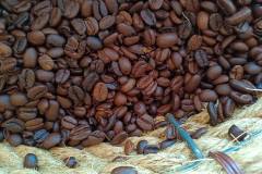 Vivo-V23-5G-camera-sample-picture-in-review-by-Revu-Philippines-auto-coffee-beans