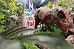 vivo-Y35-camera-sample-picture-by-Revu-Philippines-dinosaur-auto-mode