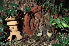 Vivo-Y35-camera-sample-picture-via-Revu-Philippines-garden