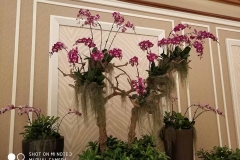 Xiaomi Mi Note 3 sample photo_Revu Philippines_Low light g
