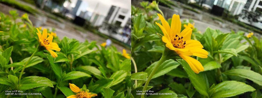 Vivo V17 Pro sample pictures: Auto mode vs Macro mode in review by Revu Philippines