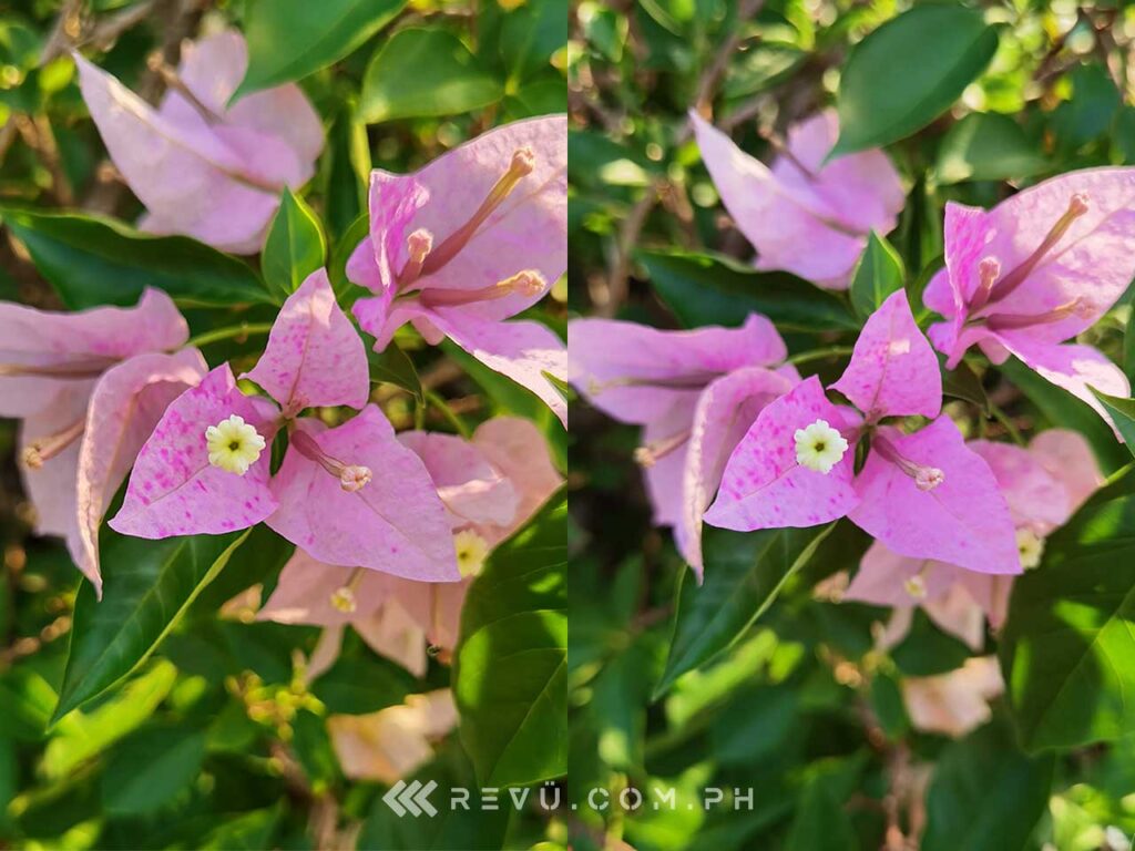 Huawei P40 Pro Plus vs Huawei P40 Pro: Camera picture comparison by Revu Philippines