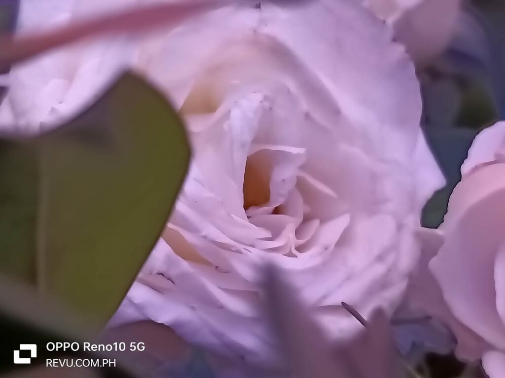 OPPO Reno10 5G sample picture in review by Revu Philippines