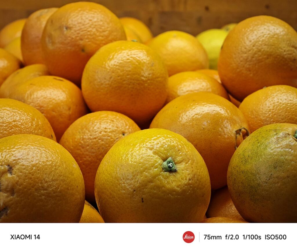 Xiaomi 14 camera sample picture in review by Revu Philippines