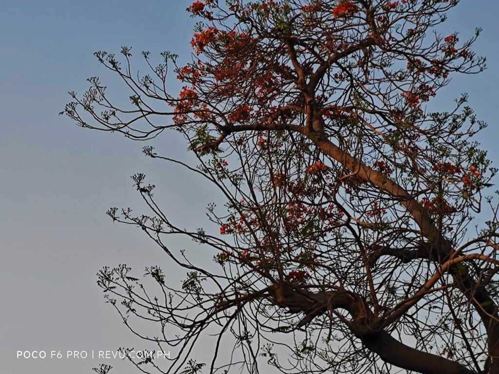 POCO F6 Pro camera sample picture in review by Revu Philippines