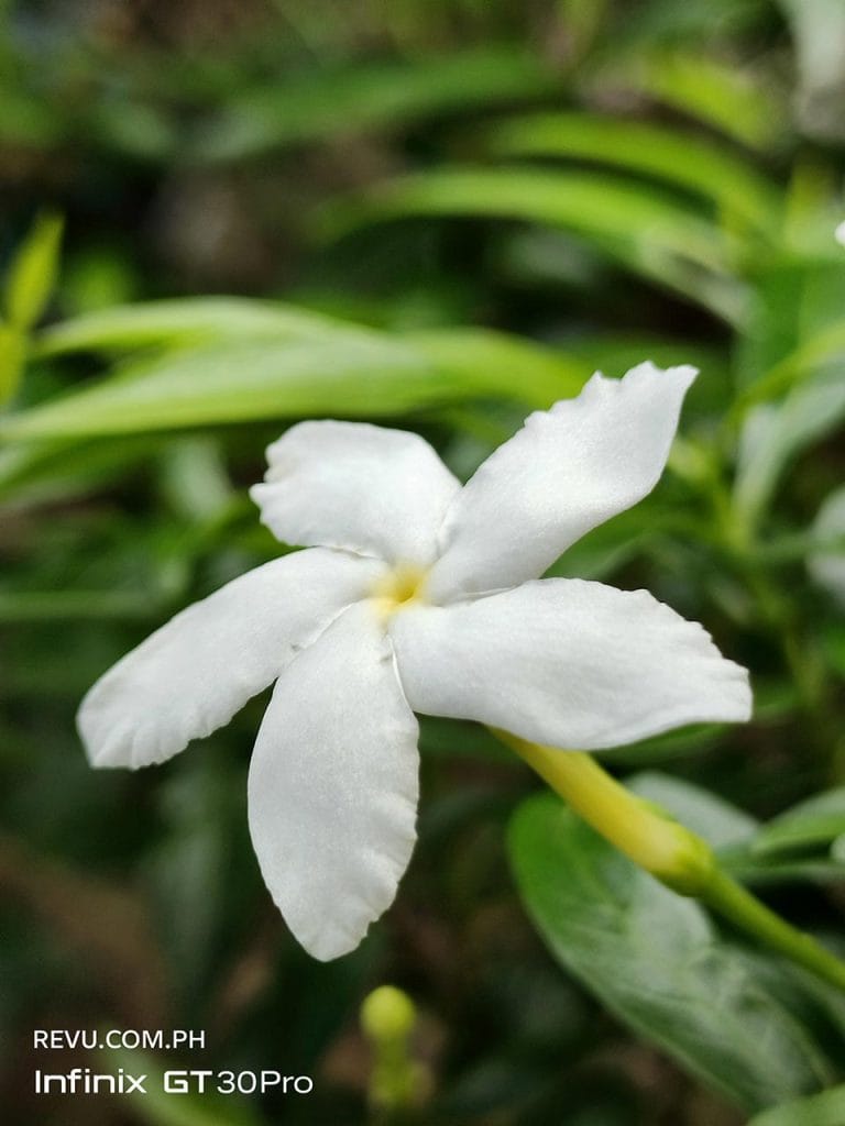 Infinix GT 30 Pro camera sample picture in review by Revu Philippines
