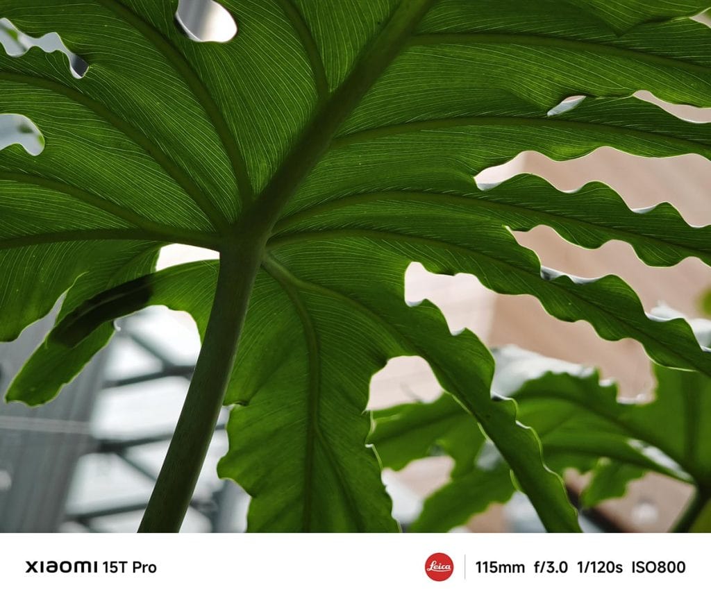 Xiaomi 15T Pro camera sample picture in review by Revu Philippines