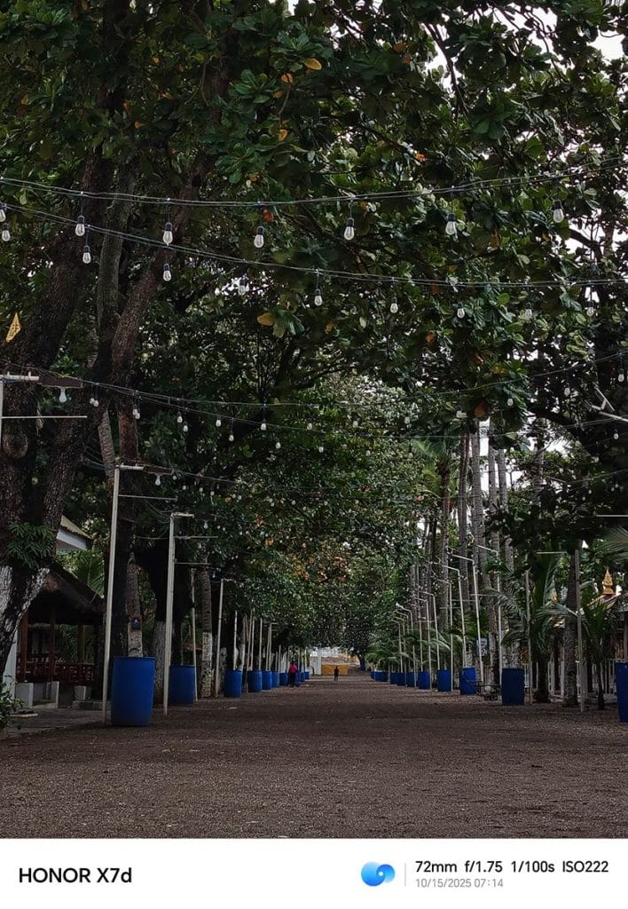 HONOR X7d camera sample photo in review by Revu Philippines