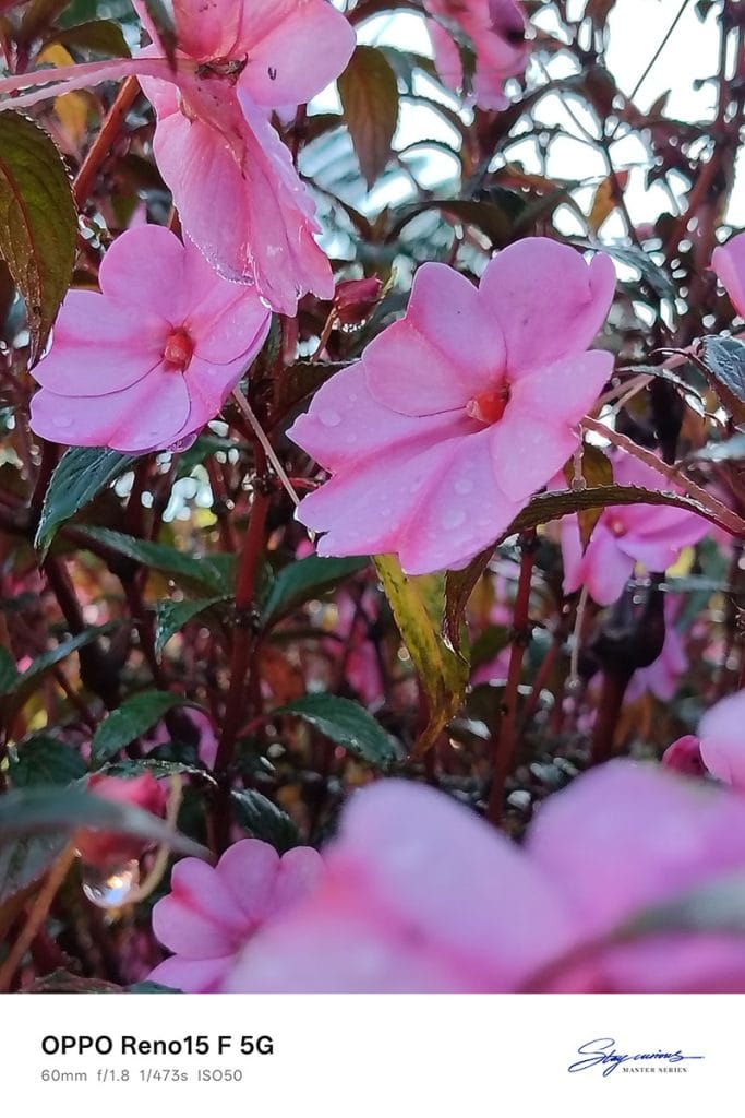OPPO Reno15 F 5G camera sample picture in review by REVU Philippines