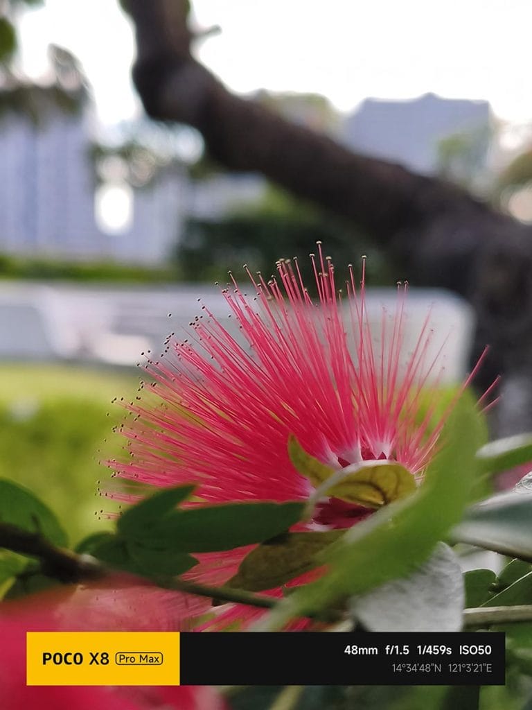 POCO X8 Pro Max camera sample picture REVU Philippines