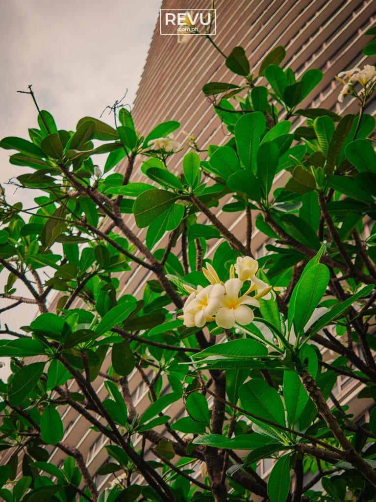 Xiaomi 17 Ultra RAW camera sample picture REVU Philippines