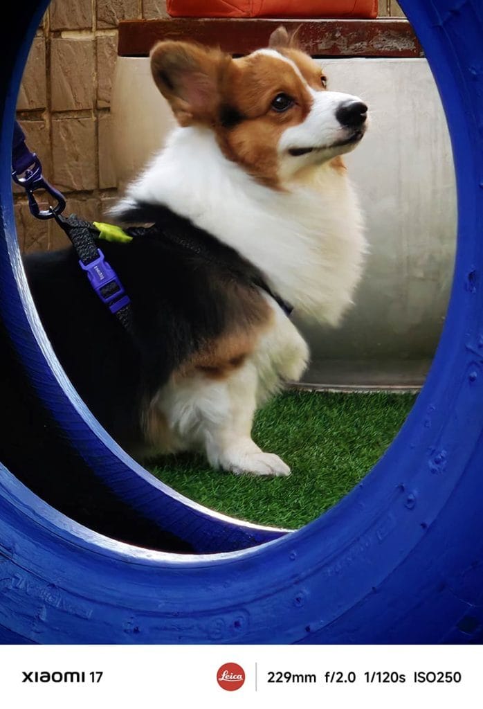 Xiaomi 17 camera sample picture REVU Philippines