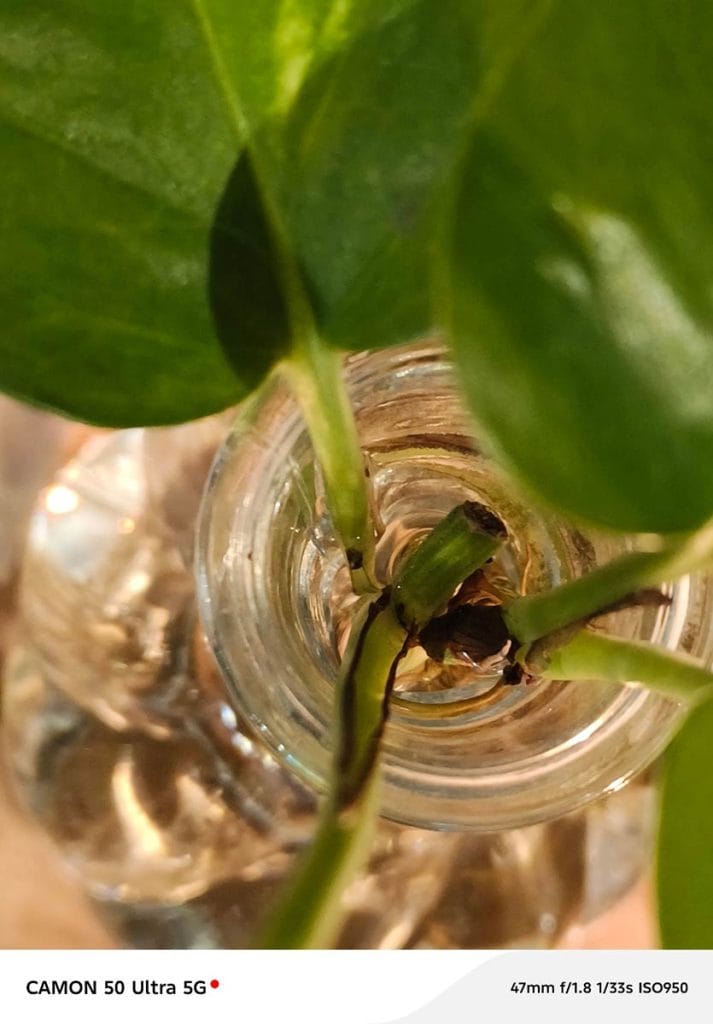 TECNO CAMON 50 Ultra 5G camera sample picture review REVU Philippines