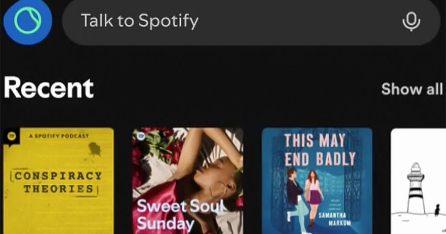 Talk to Spotify AI feature details REVU Philippines